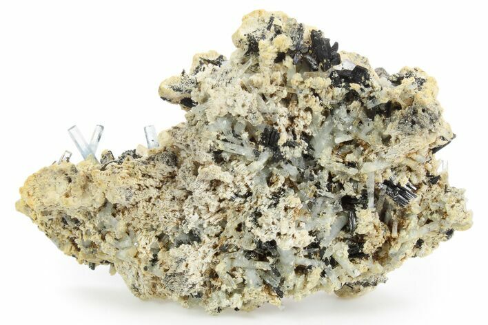 Gemmy Aquamarine and Schorl Crystals on Feldspar - Namibia #354937